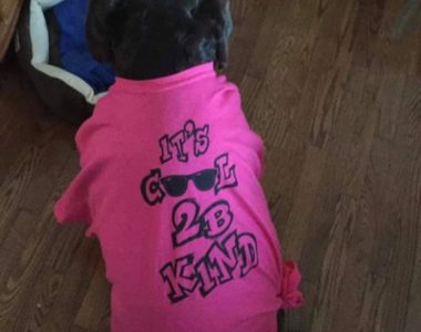 Amber the dog wearing our signature "Cool 2B Kind" pink shirt.