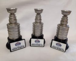 Custom Hockey Trophies
